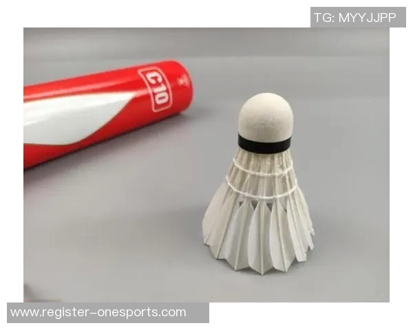 羽毛球装备选购指南球袜推荐助你提升比赛表现与舒适度